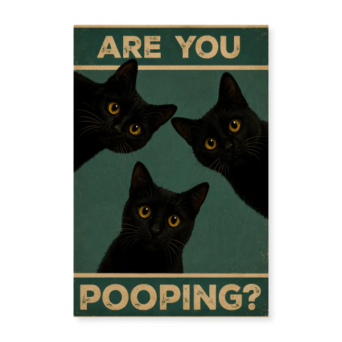 Are You Pooping? — Three Curious Black Cats