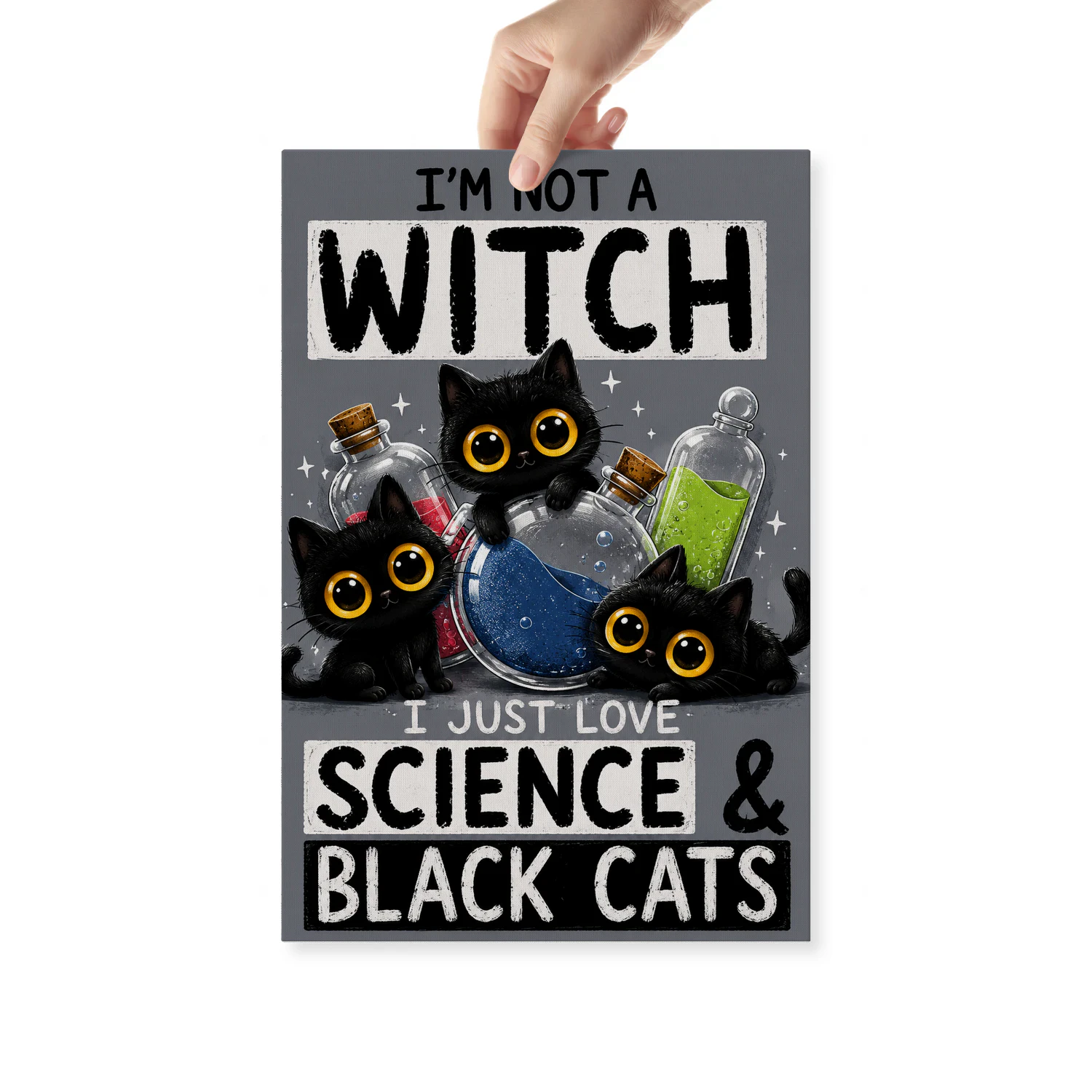 Not a Witch — Science and Black Cats-S