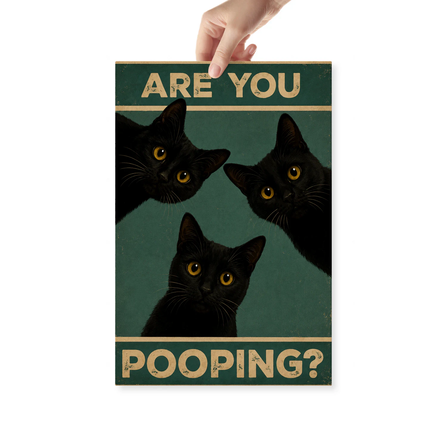 Are You Pooping? — Three Curious Black Cats-S