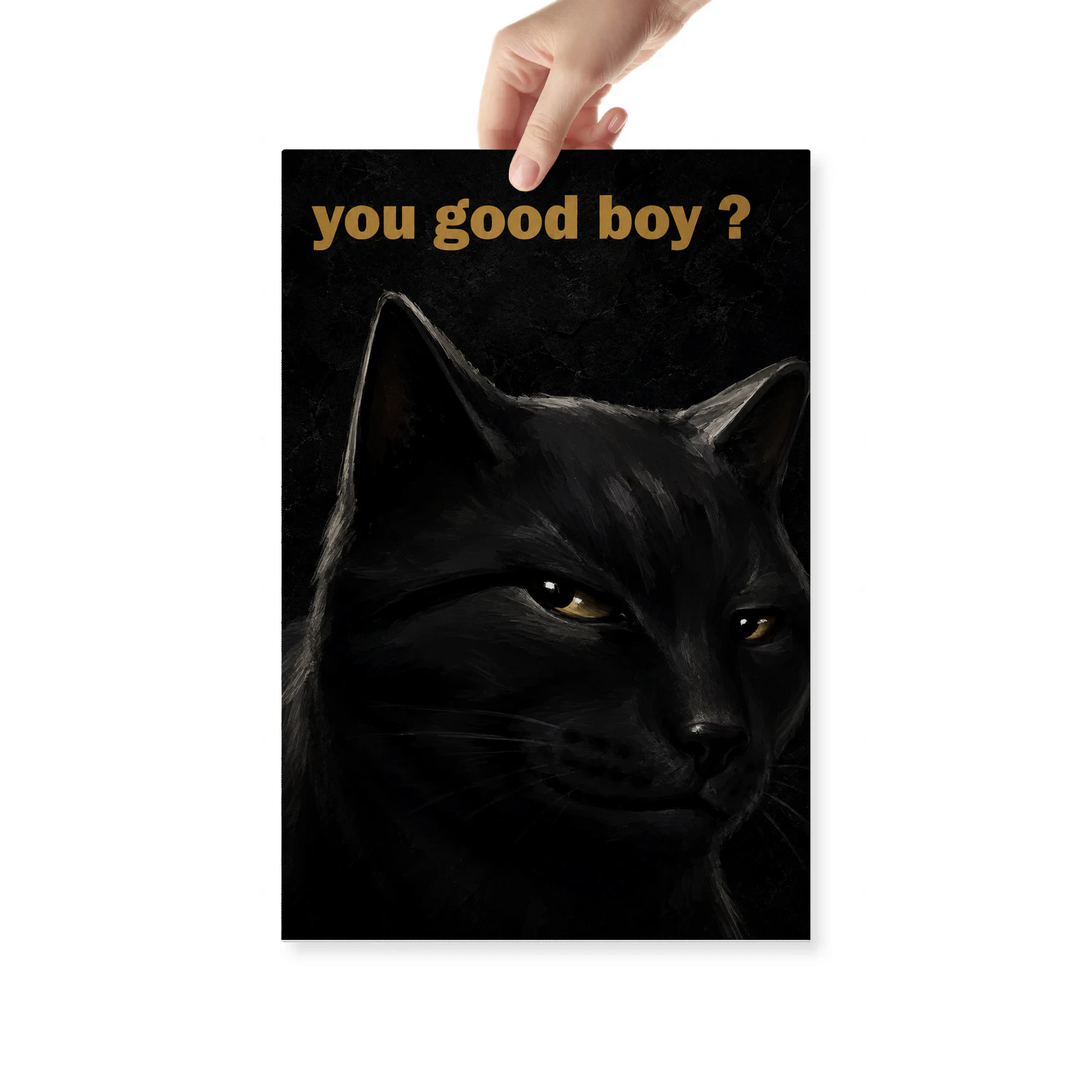 You Good Boy?