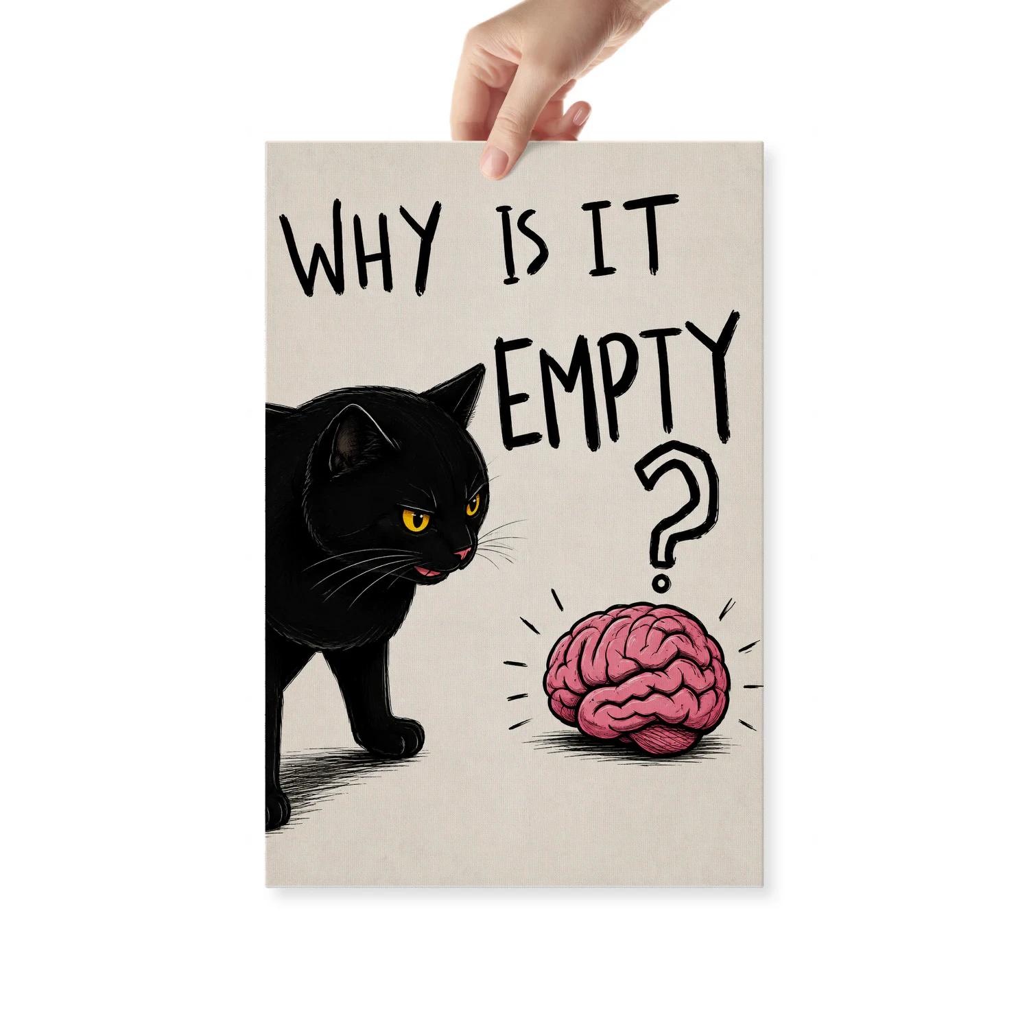 Why Is It Empty? — Black Cat and the Brain-S