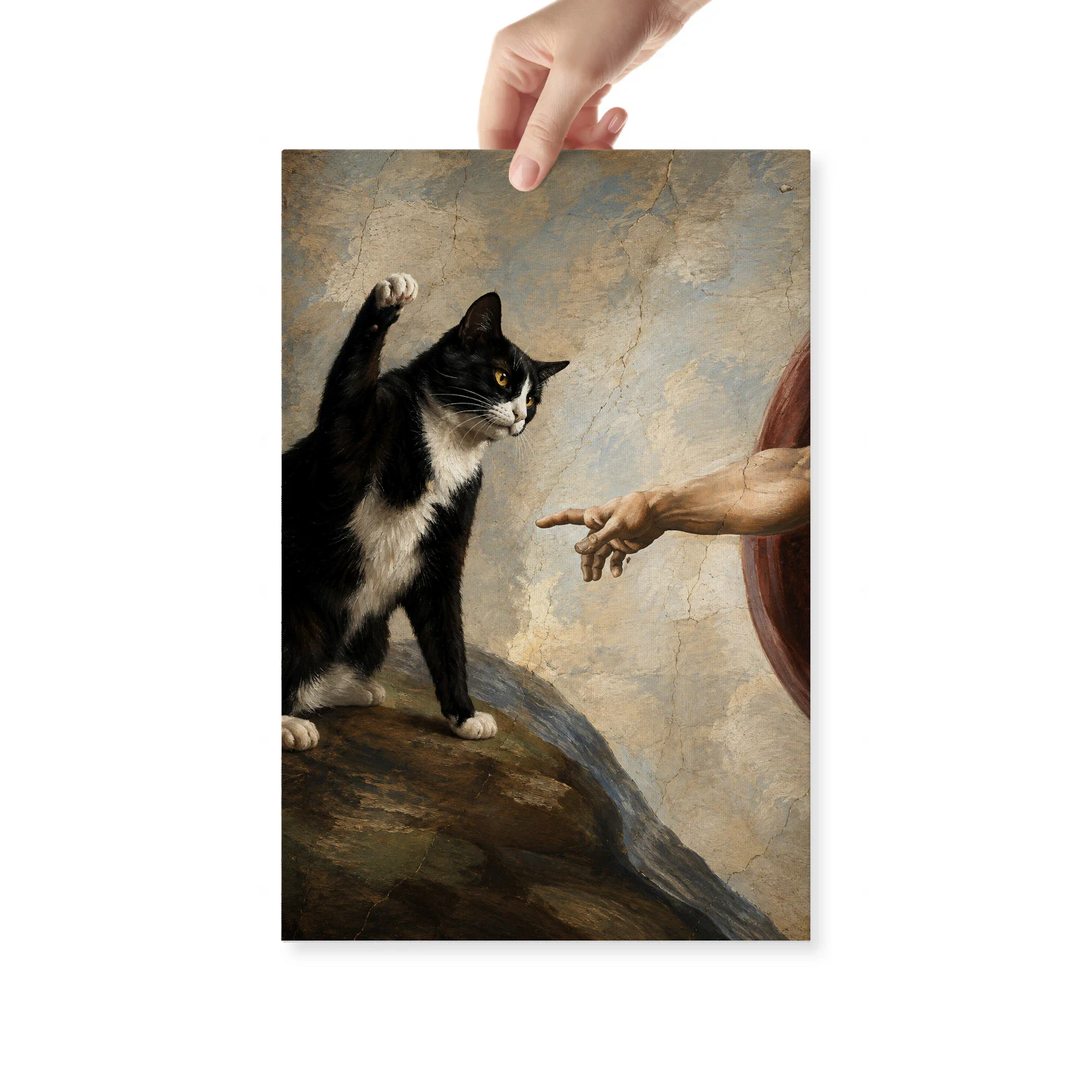 The High Five-S