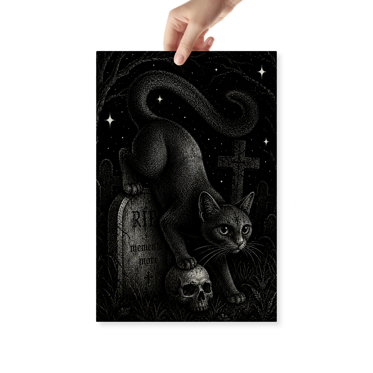 Memento Mori — Black Cat in the Graveyard-S