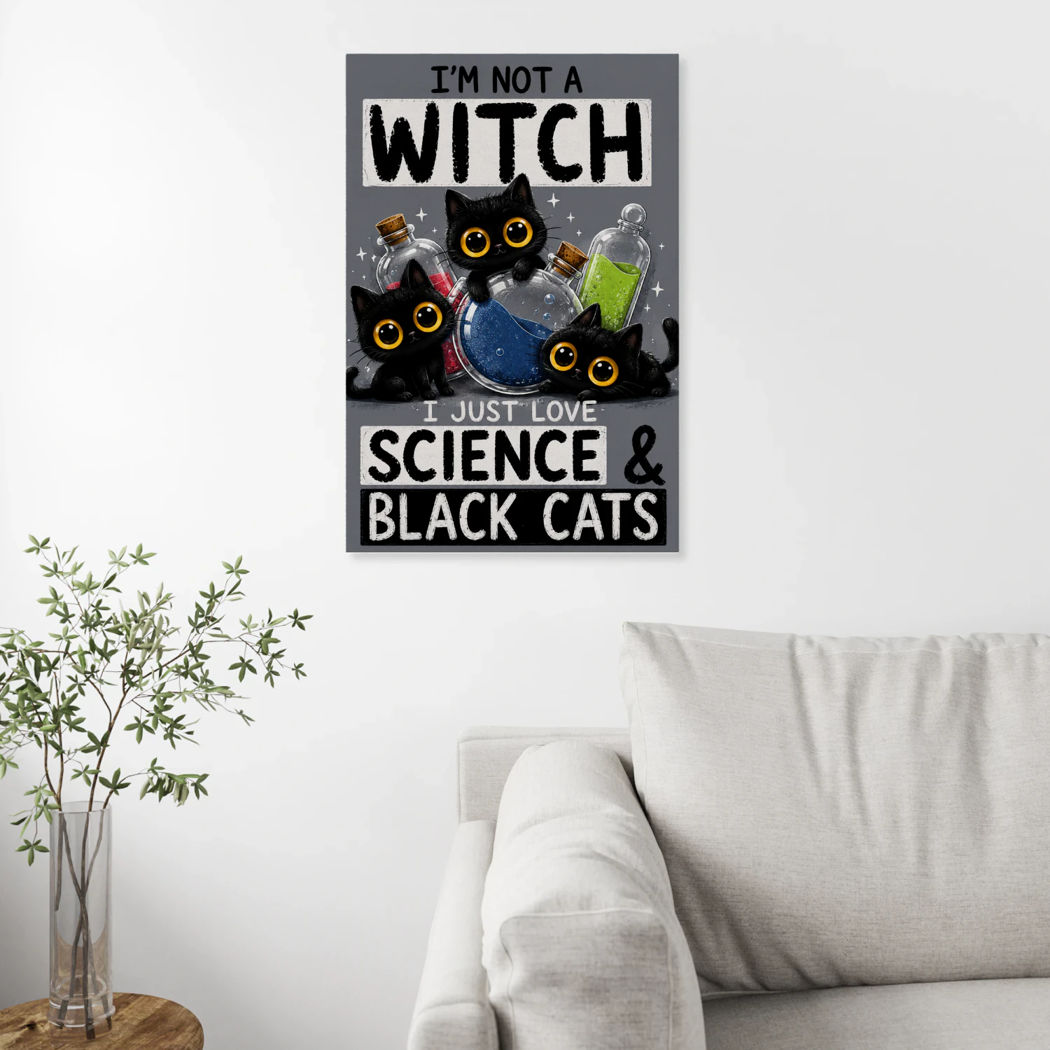 Not a Witch — Science and Black Cats-S