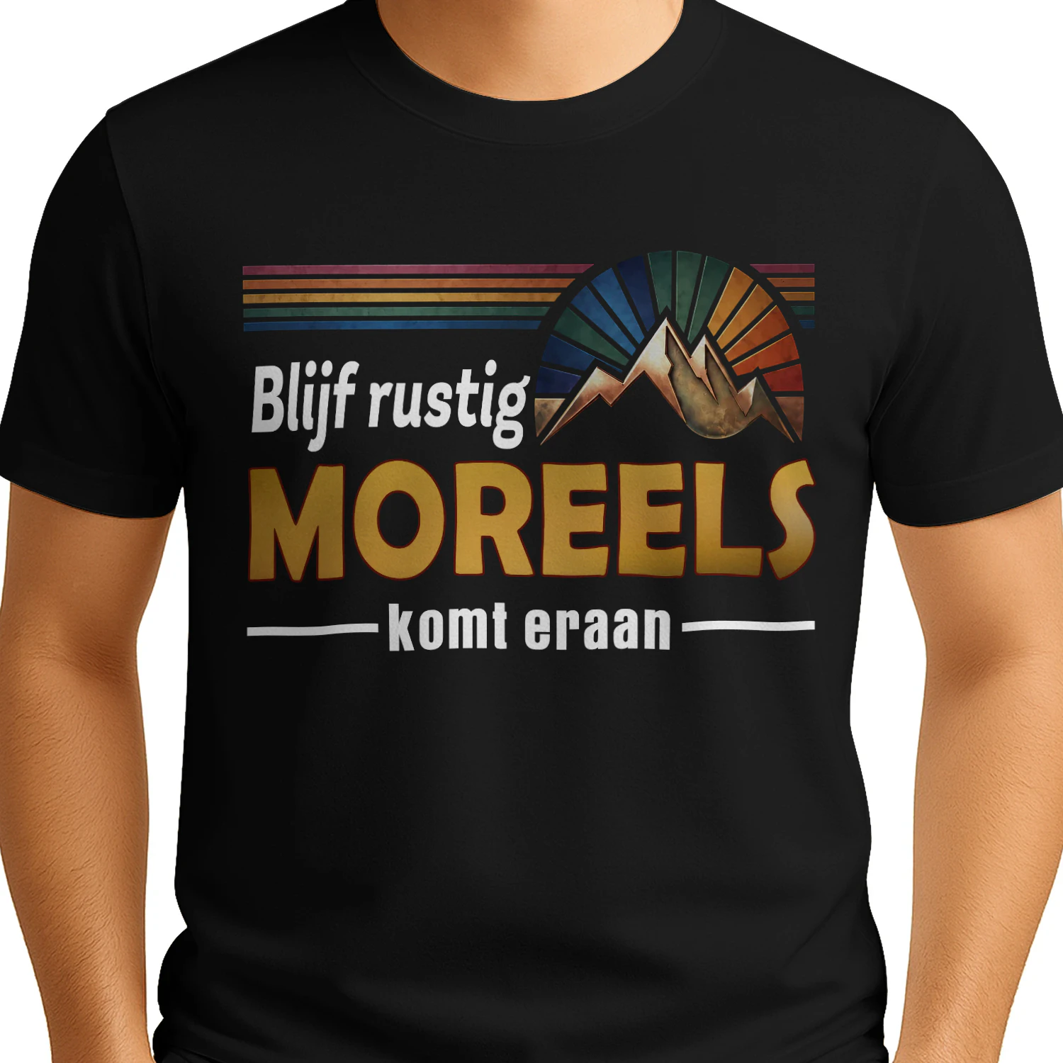 HL27799 Moreels HA13