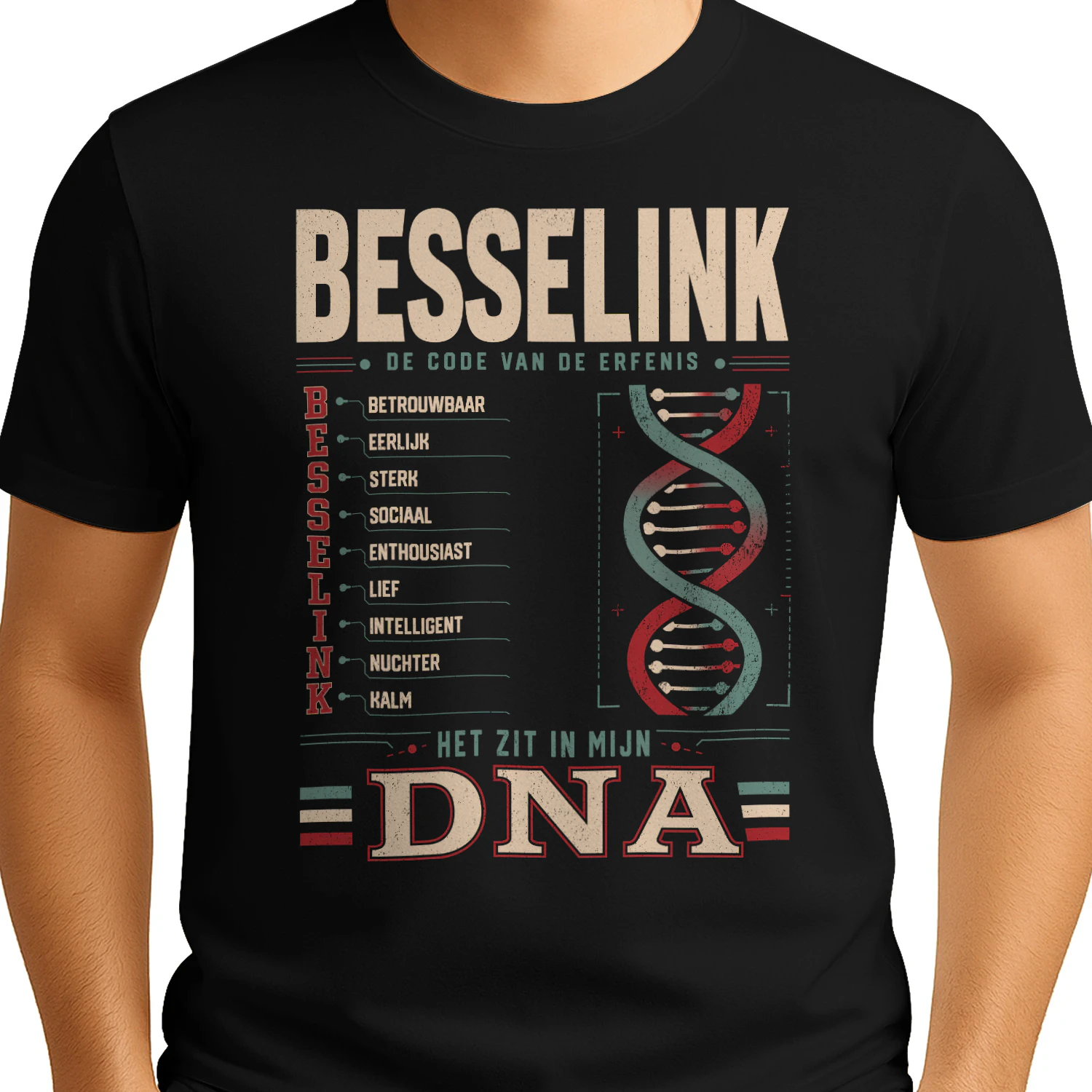 T2HL0422 BESSELINK HA8