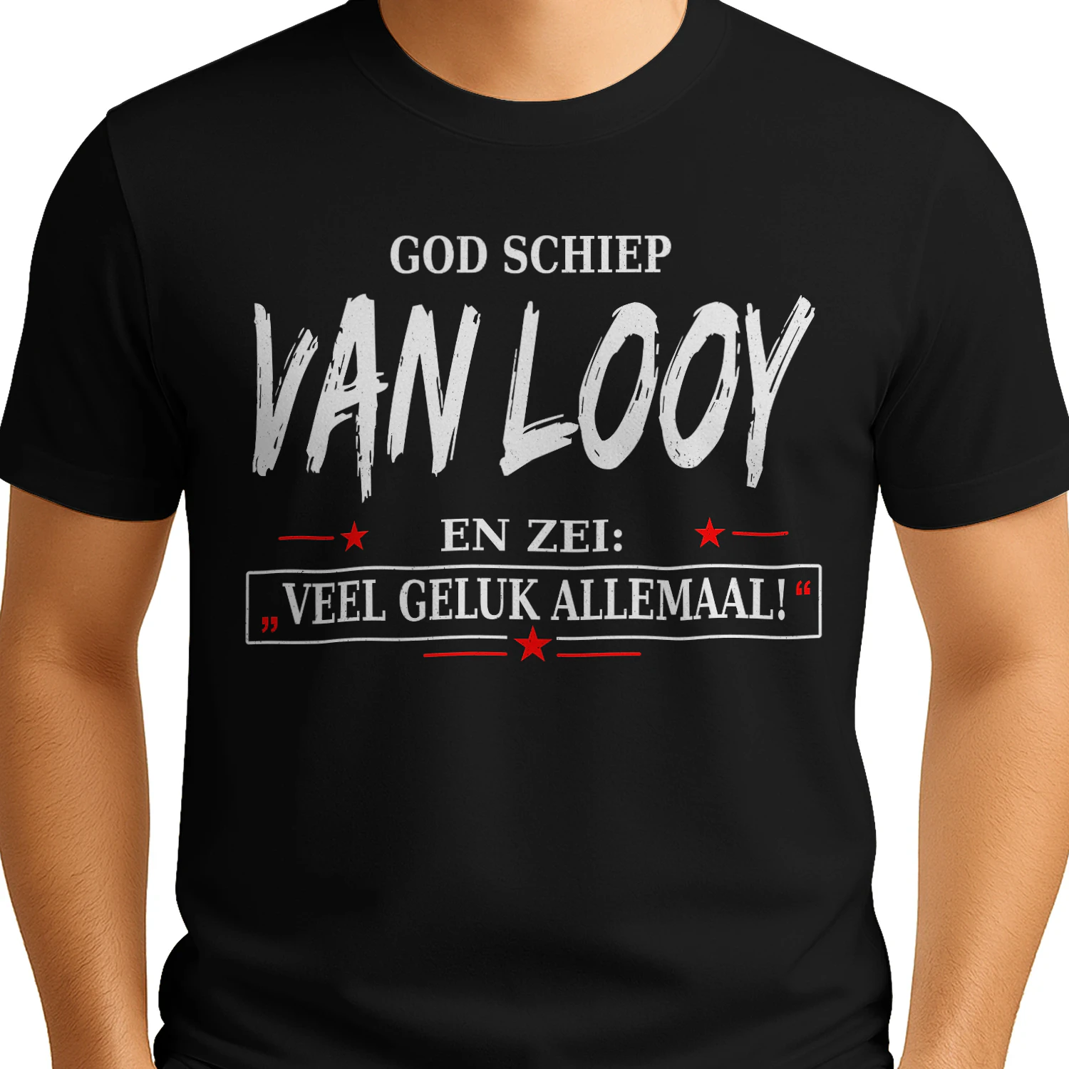 HL17736 VAN LOOY HA20