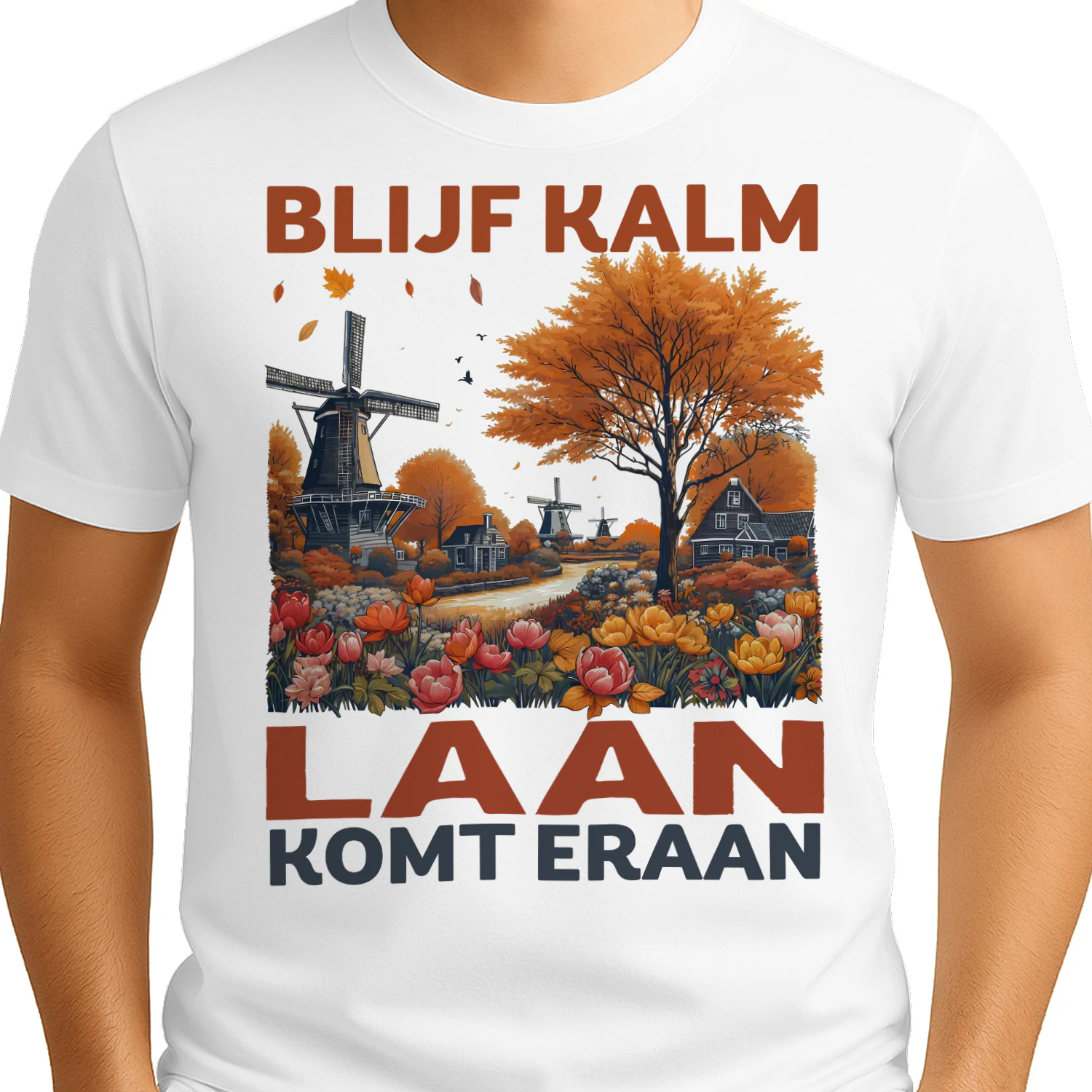 HL0533 LAAN HA2