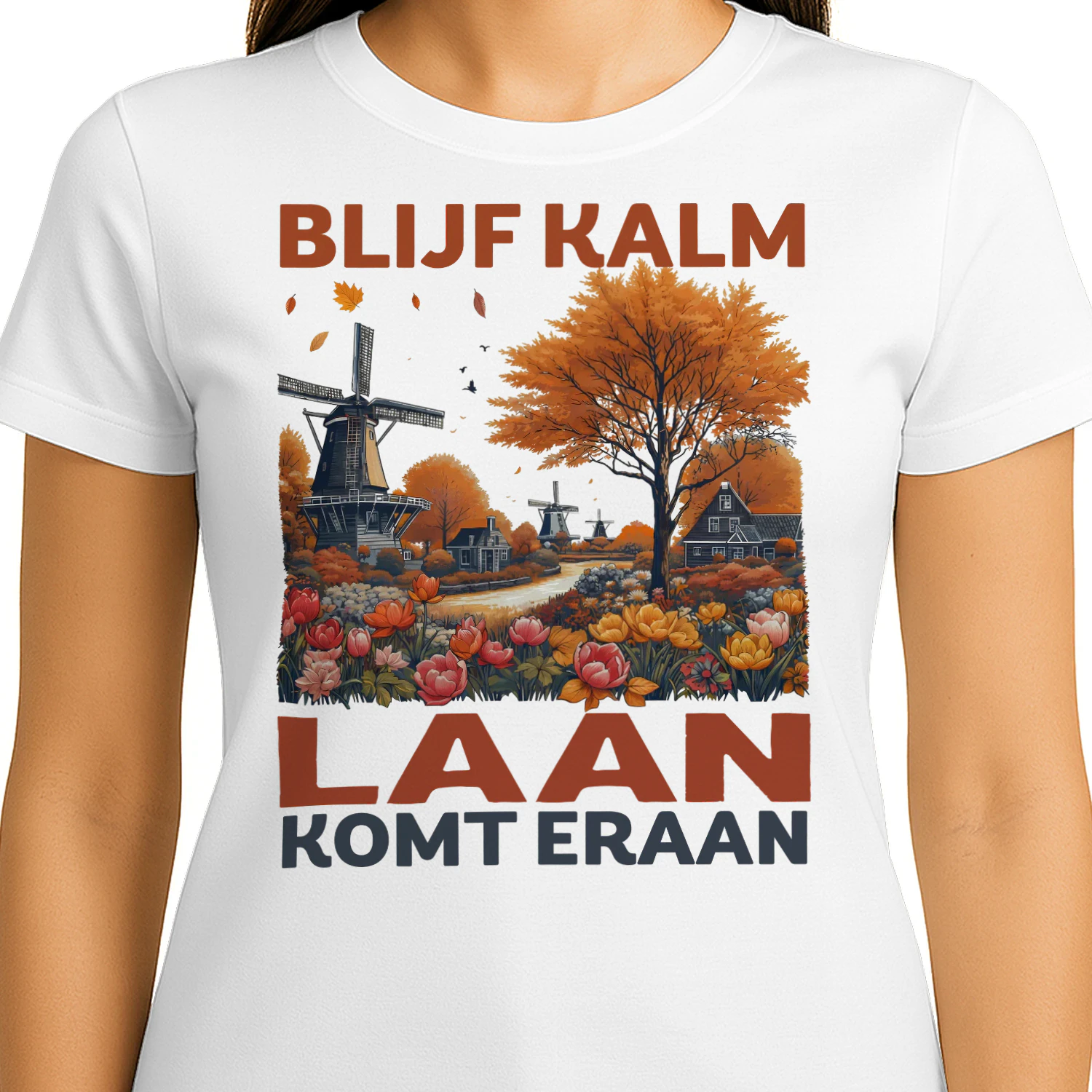 HL0533 LAAN HA2