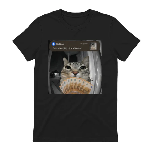 cat meme
