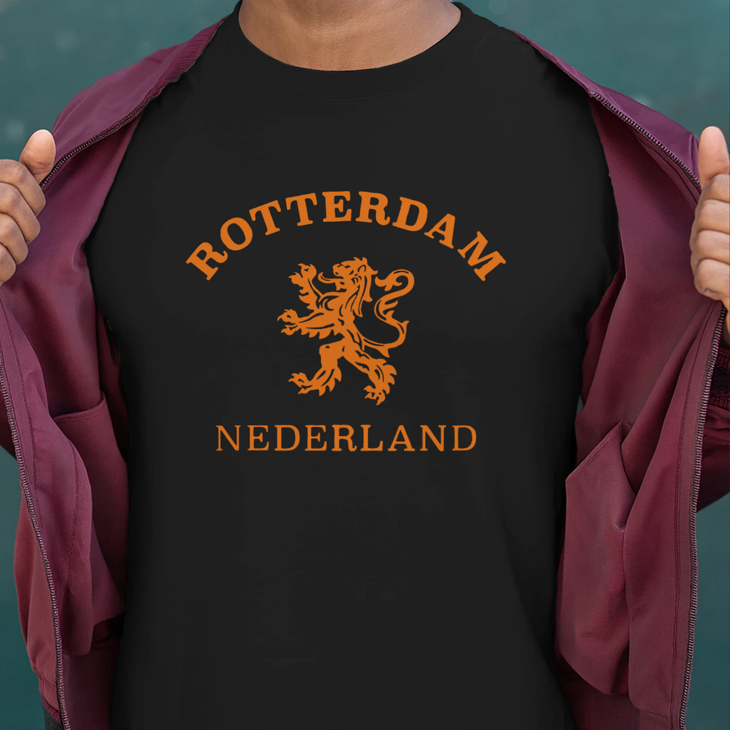 Rotterdam Netherlands Heritage 