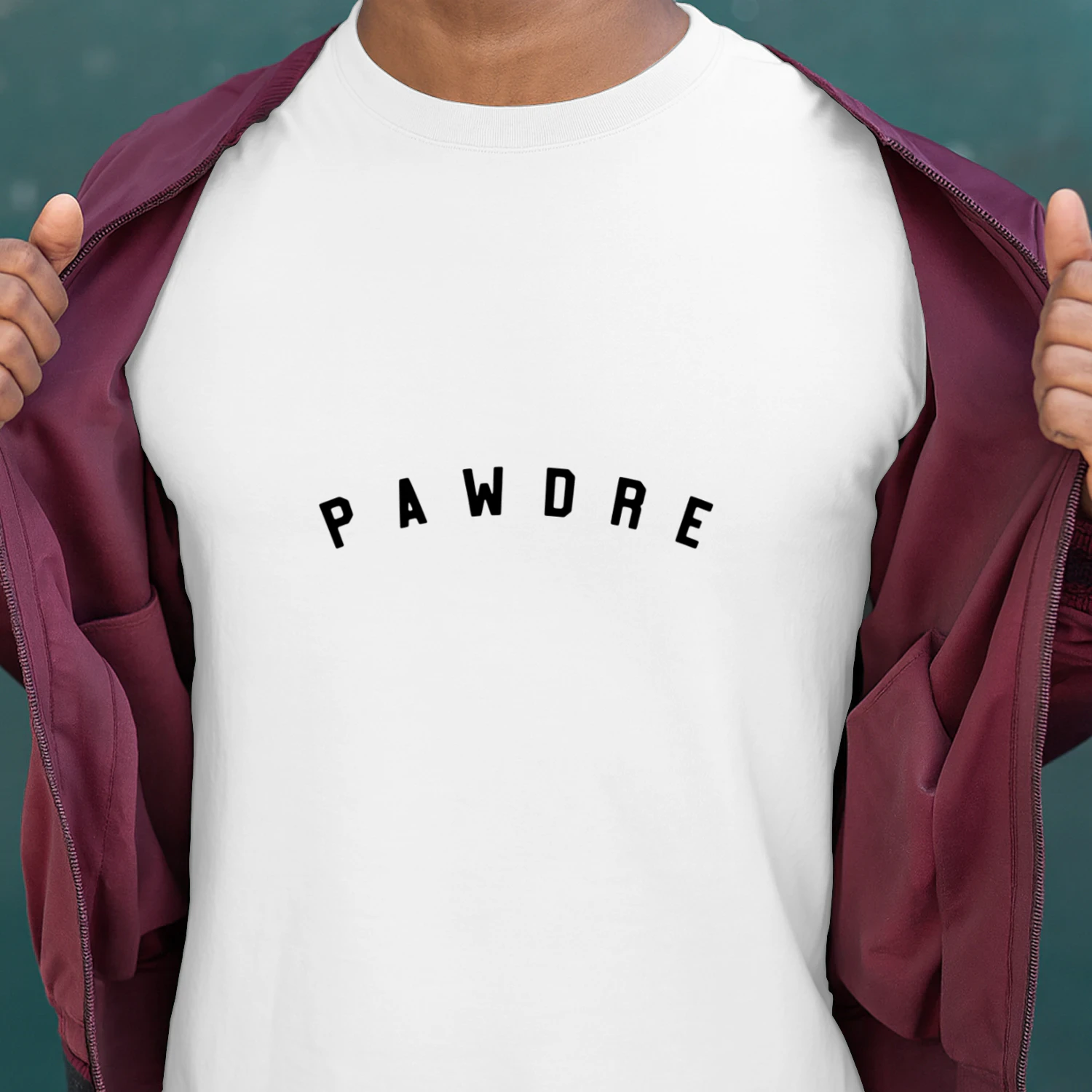 Pawdre Funny Dog Dad