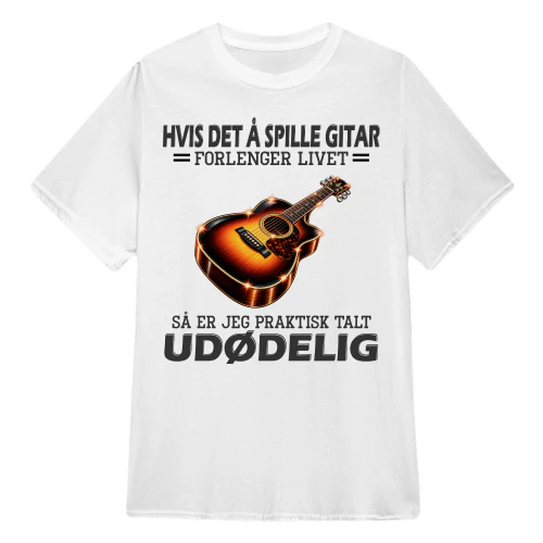 Guitar immort NY
