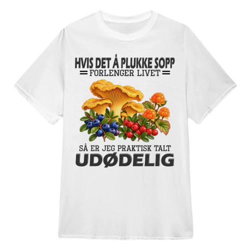 Mushroom immort NY