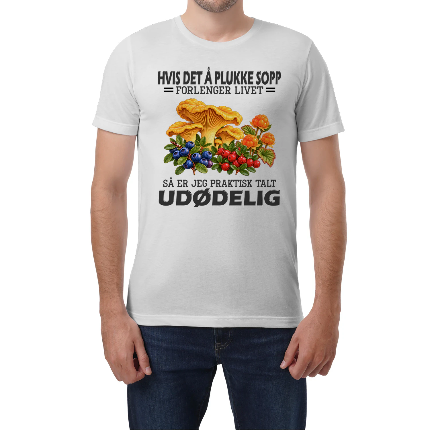 Mushroom immort NY