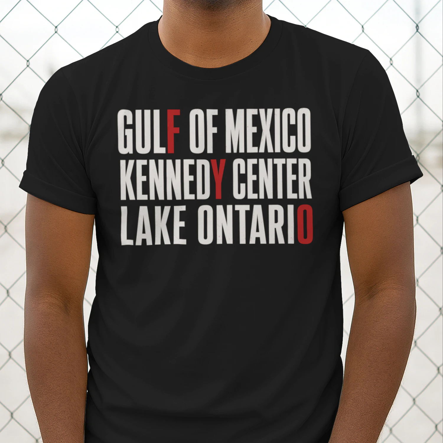 Gulf of Mexico Kennedy Center Lake Ontario 