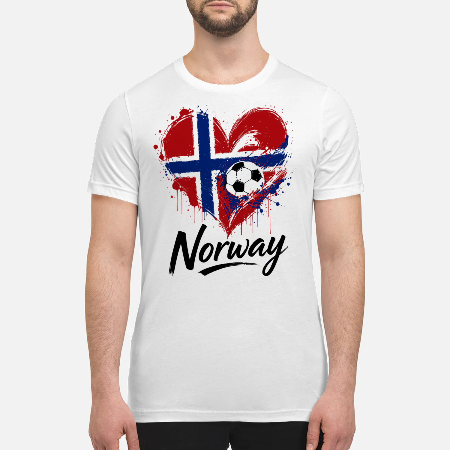 Norge Fotball Fan