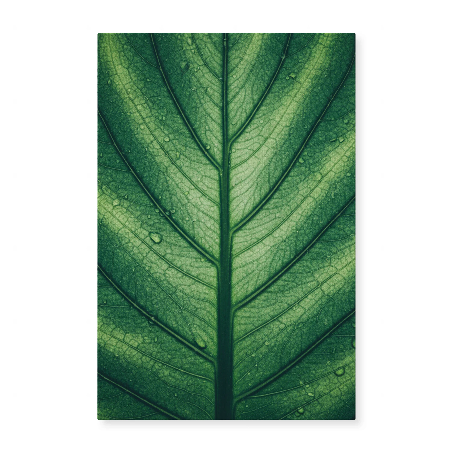 Macro Green Leaf Texture Botanical Art - Fresh Nature Detail for Modern Bathroom