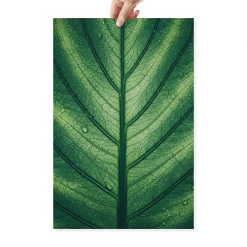 Macro Green Leaf Texture Botanical Art - Fresh Nature Detail for Modern Bathroom