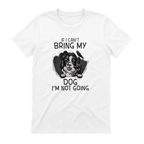 If I Can't Bring My Border Collie