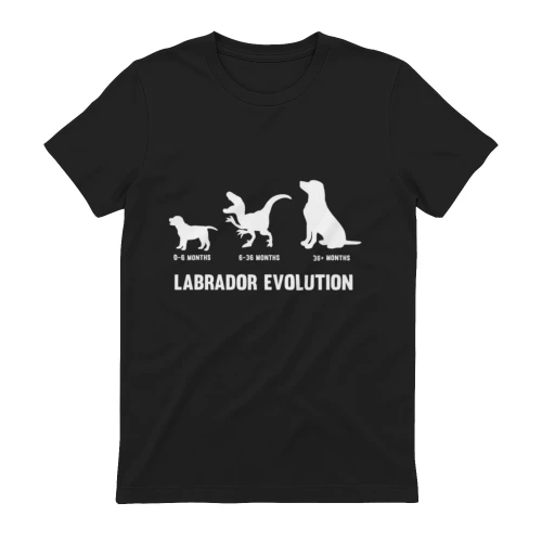 Labrador Retriever Evolution