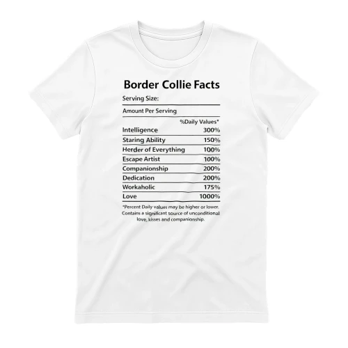 Border Collie Facts
