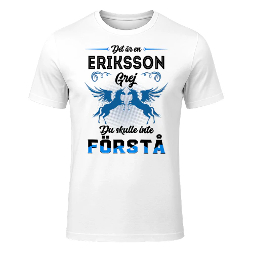 eriksson-lnse12