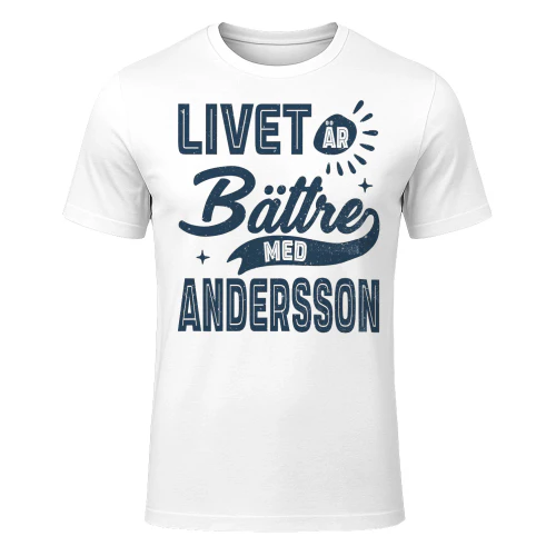 andersson-lnse10
