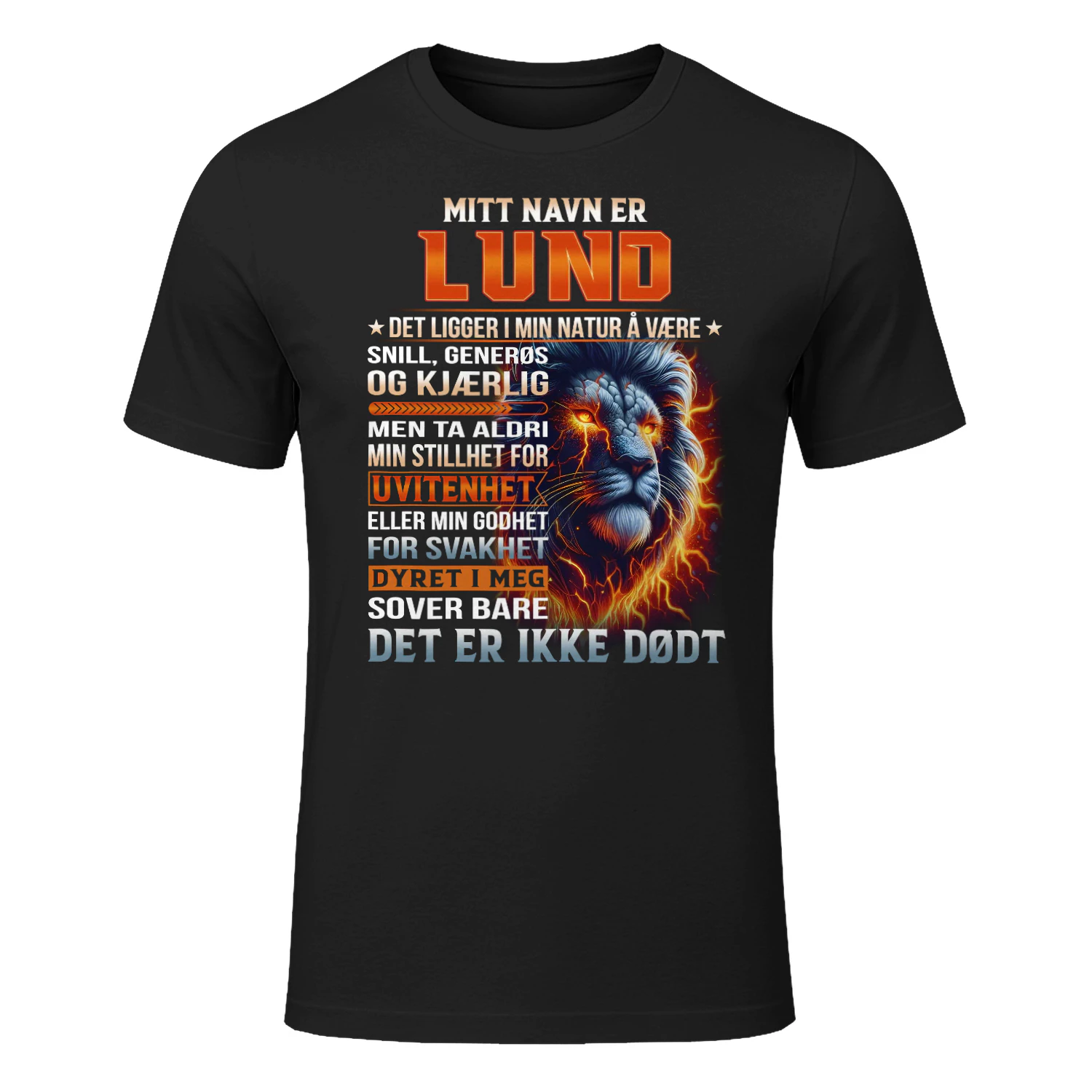 lund-lnno05
