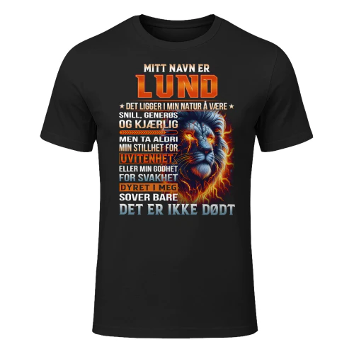 lund-lnno05