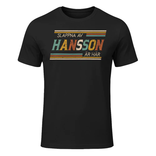 hansson-lnse23