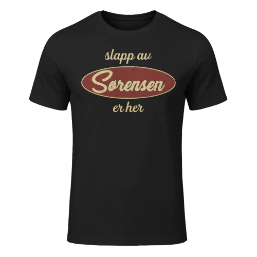 Sørensen-lnno13