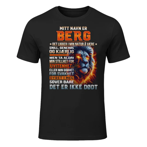 berg-lnno05