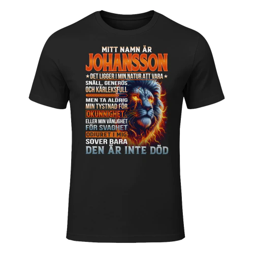 johansson-lnse11