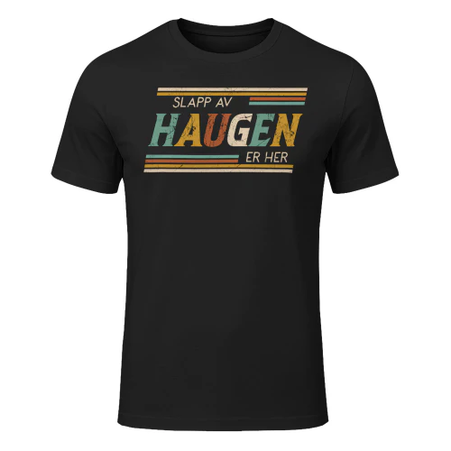 haugen-lnno16