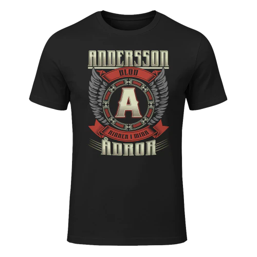 andersson-lnse07