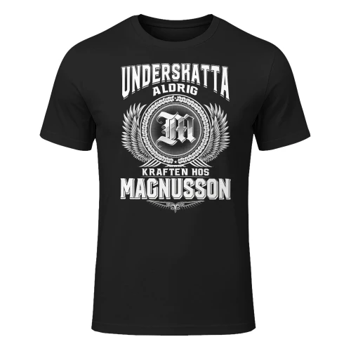 magnusson-lnse08