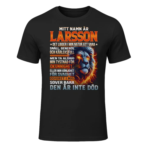 larsson-lnse11