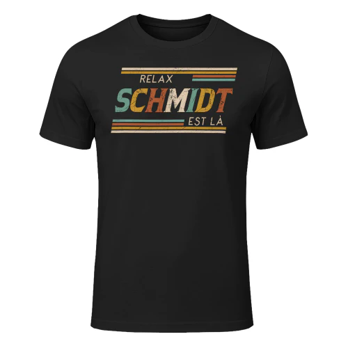 Schmidt-lnfr-t2