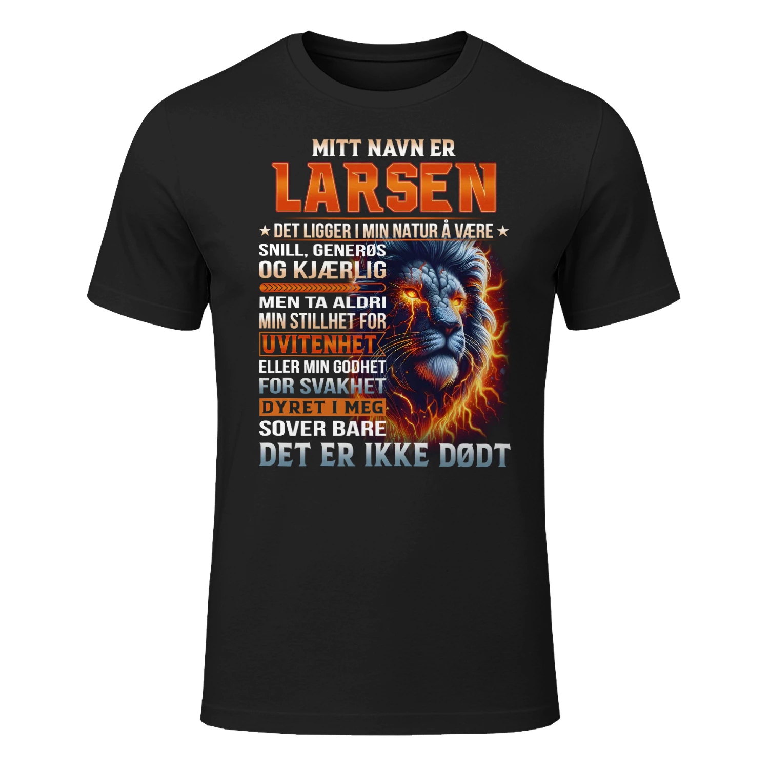 larsen-lnno05