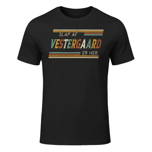 vestergaard-lndk23