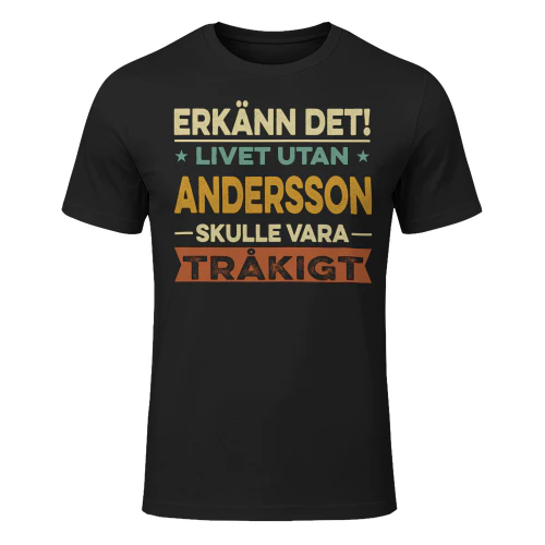 andersson-lnse13