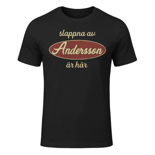 Andersson-lnse19