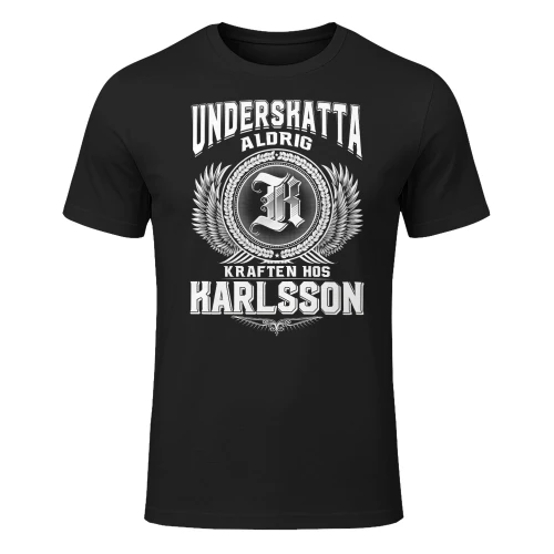 karlsson-lnse08