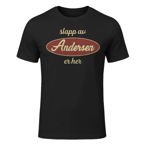 Andersen-lnno13