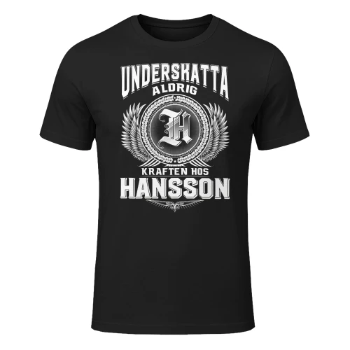 hansson-lnse08