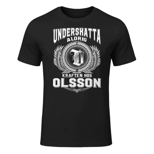 olsson-lnse08