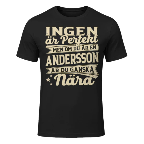 andersson-lnse06