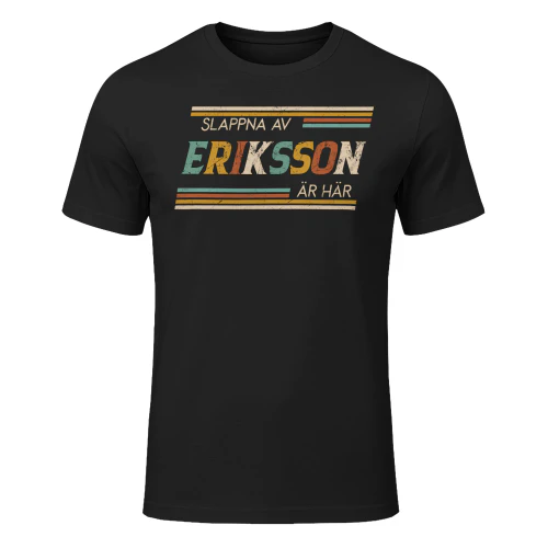 eriksson-lnse23
