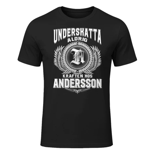 andersson-lnse08